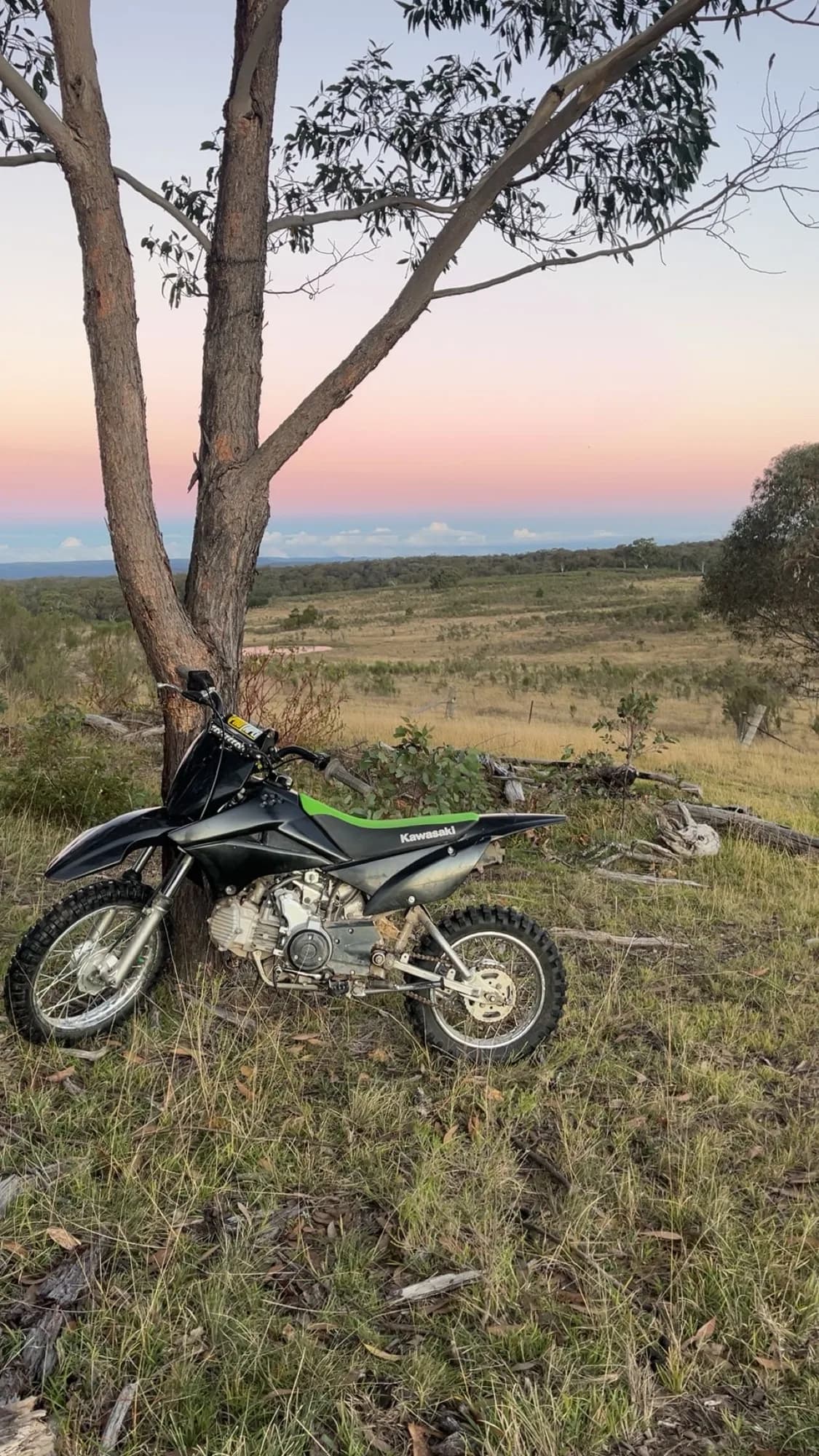 2020 Kawasaki KLX110 — photo 1 of 3