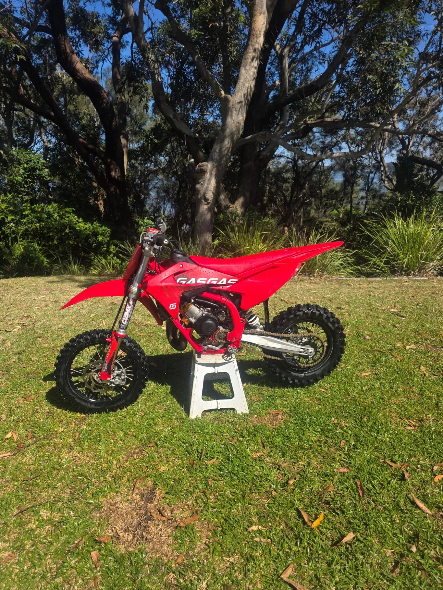 2024 GasGas MC65 — photo 1 of 3